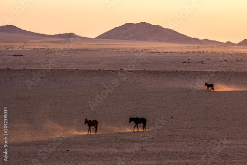 Εκτύπωση καμβά Ghostly silhouettes of the wild desert horses of southern Namibia, among the dus