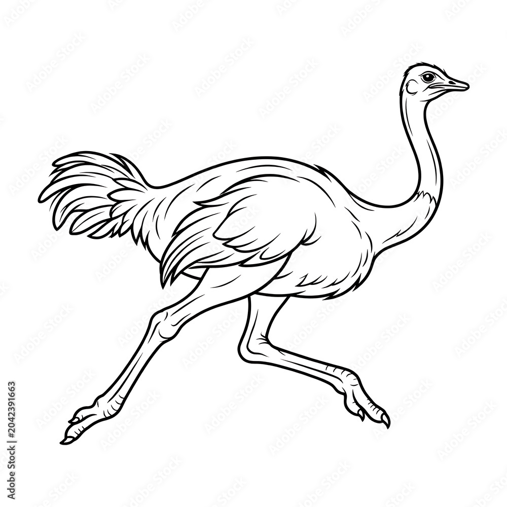 Fototapeta premium Running ostrich outline vector illustration in minimalist black and white style