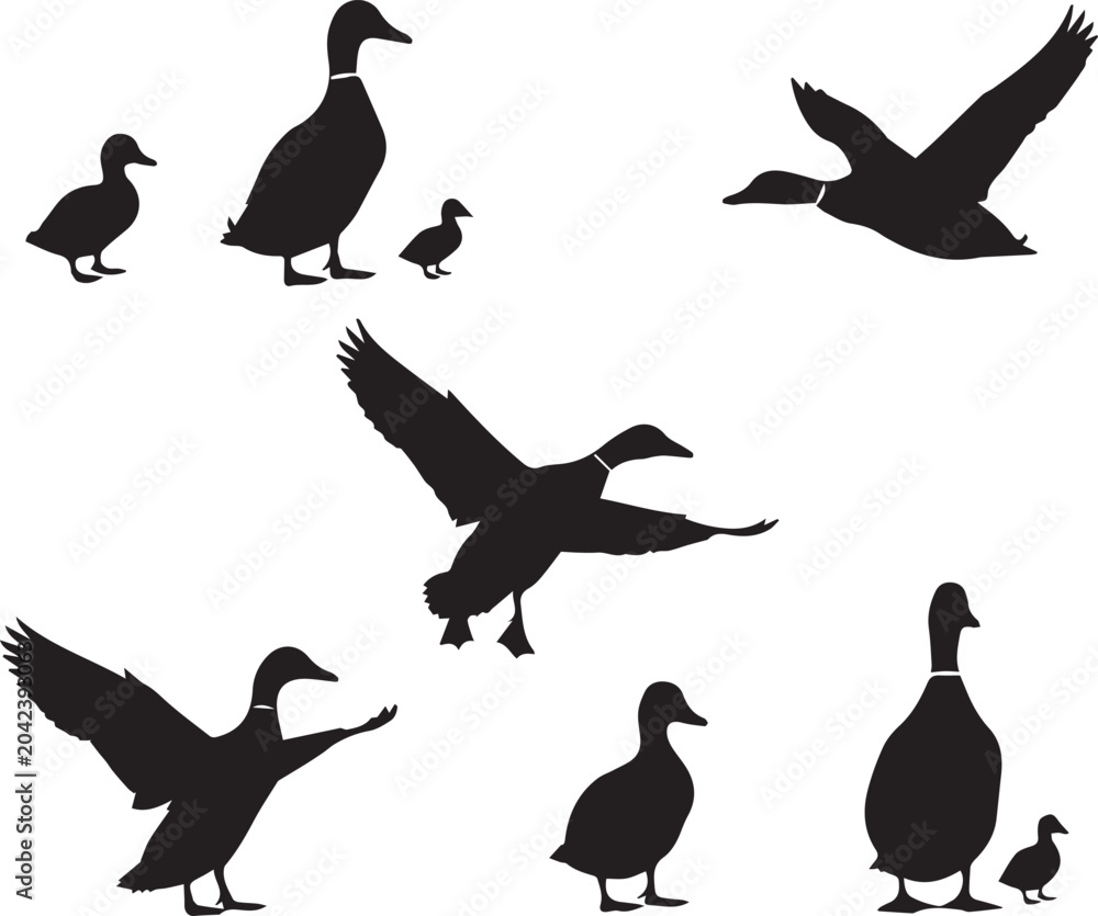Fototapeta premium Set of bird silhouette vector icons flying birds collection illustration design