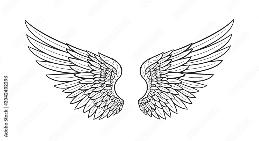 Fototapeta premium Intricate black and white line art illustration of a pair of large feathered wings spread wide symmetrically on a plain white background.