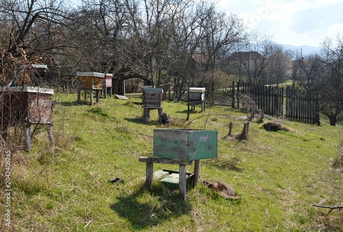old wooden, empty and broken beehives