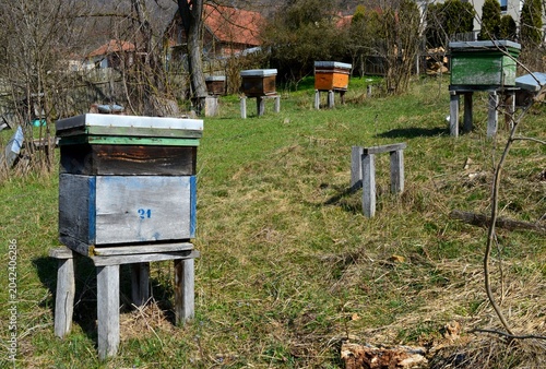 old wooden, empty and broken beehives