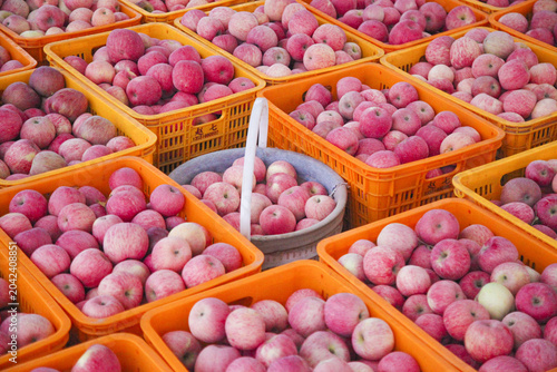 Quadro su tela Fresh Red Fuji Apples in Orange Crates at Shandong Orchard Market Display