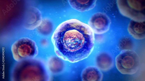 3D animation of microscopic human cells or organisms pulsating and moving in a blue fluid environment