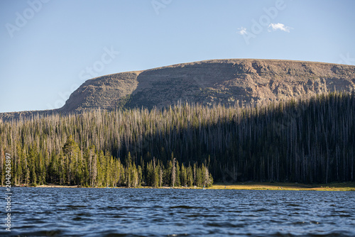 Принти на полотні Lake In the Mountains