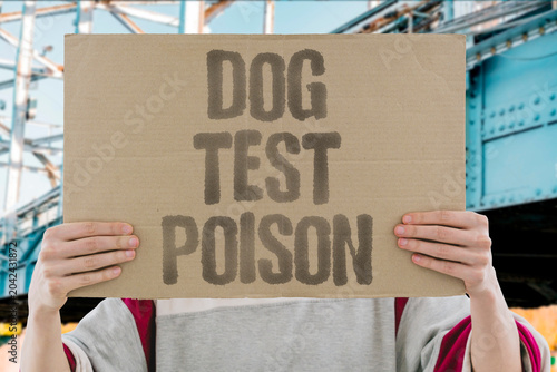Bilde på lerret "Dog test poison" Canine forced to ingest toxins