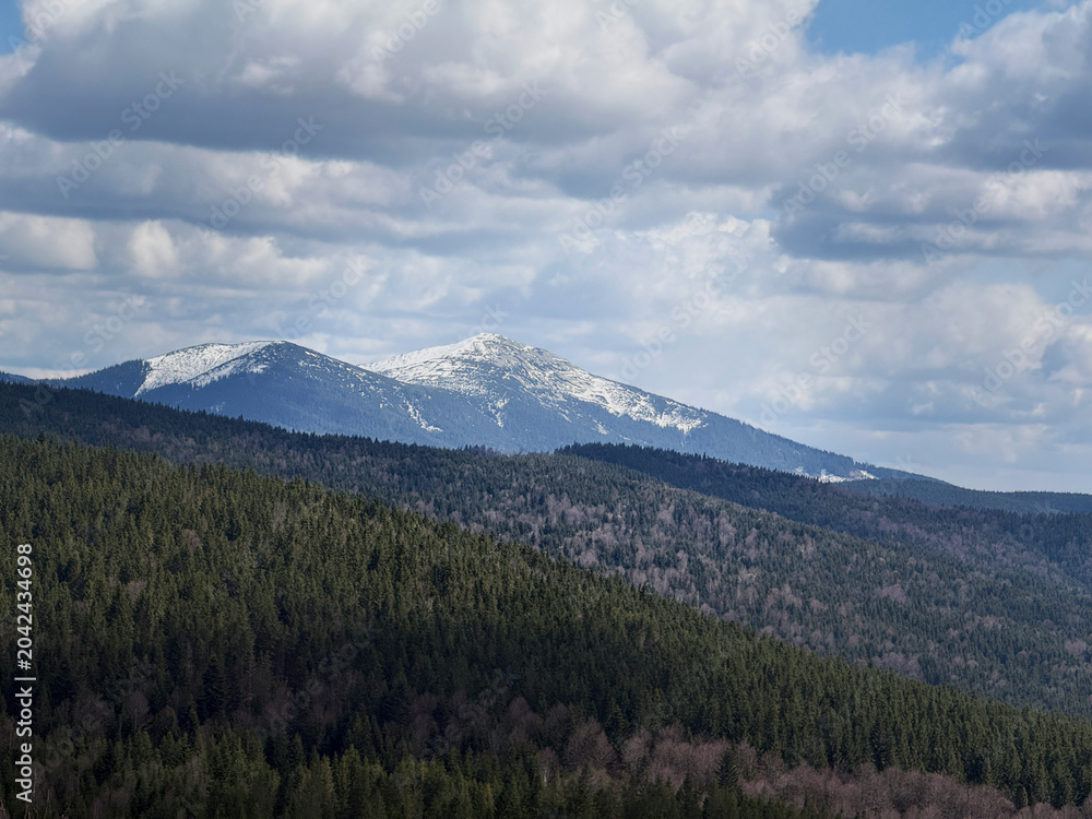 Fototapeta premium Snow Capped Mountain Peaks Above Forest