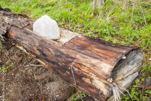 Lumps of rock salt for wildlife in a wooden tray.