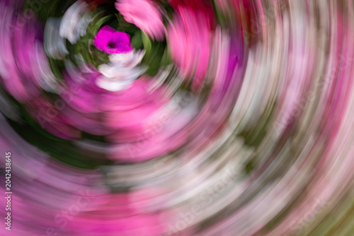 Quadro su tela Card or small wall art print featuring an abstract floral swirl created through intentional camera movement