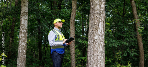 Fotografie Forestry engineer monitoring biodiversity, timber condition, and wood sustainability in a nature conservation area