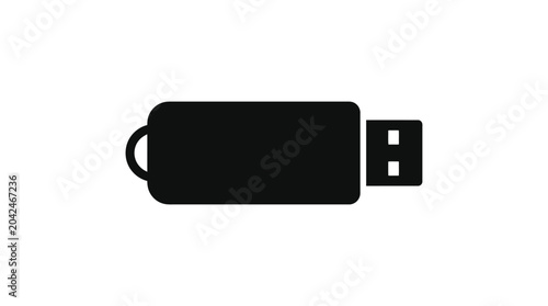 Fotografie Usb Flash Drive Silhouette Icon On A White Background