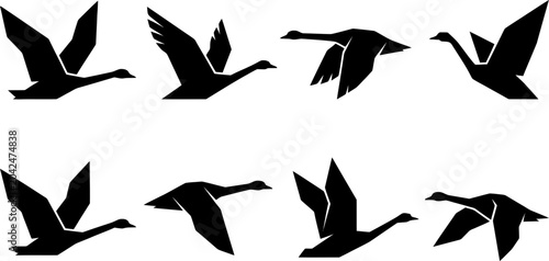 Fotografía Set of eight geometric origami style swan silhouettes in various graceful flying