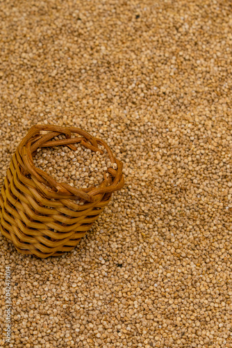 Chenopodium quinoa - Organic white quinoa seeds in bowl and spoon