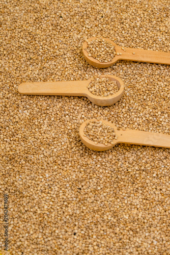 Chenopodium quinoa - Organic white quinoa seeds in bowl and spoon