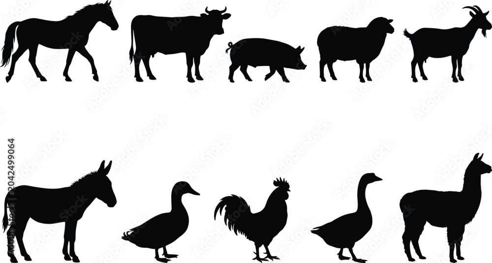 Fototapeta premium A collection of black silhouettes of farm animals on a white background, featuring various common livestock breeds