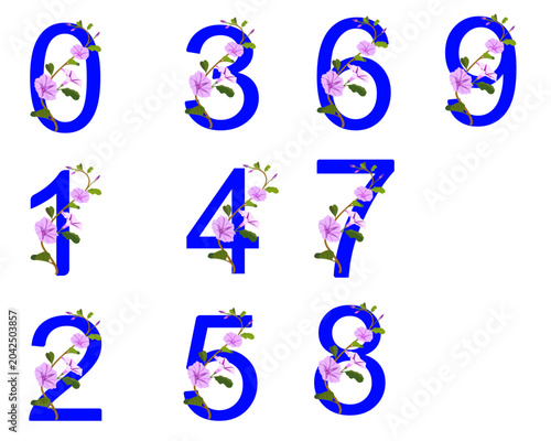 Blue Floral Number Icons Set