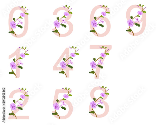 Pastel Floral Number Icons 0-9 with Purple Flowers and Vine Elements, Transparent Vector Number Set for Invitations, Posters, Logos, Digital Design and Creative Projects