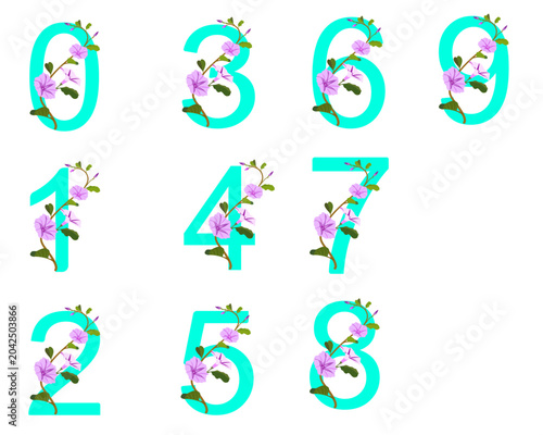 Turquoise Floral Number Icons Set