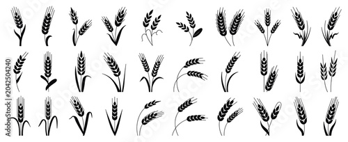Foto Wheat Ears Icon Set Vector Illustration Featuring Grain Spikes, Wheat Logos and