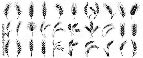 Foto Wheat Ears Icon Set Vector Illustration Featuring Grain Spikes, Wheat Logos and