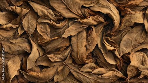 Photorealistic macro of dried cured tobacco leaves curled in warm brown and tan tones forming a full frame organic surface texture for backgrounds and rustic design projects