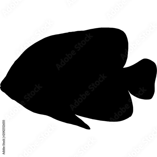 Fish Silhouette