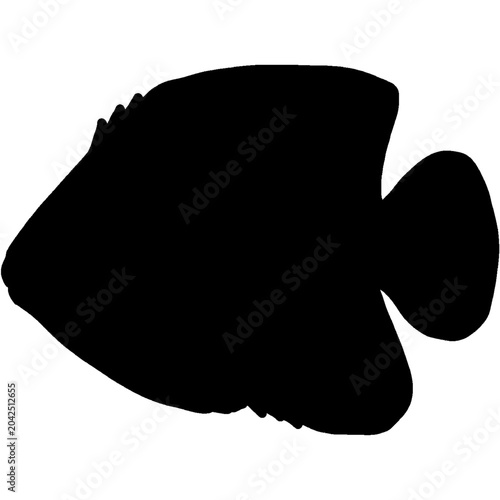 Fish Silhouette