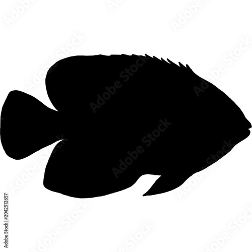 Fish Silhouette