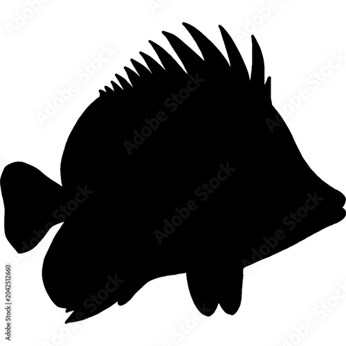 Fish Silhouette
