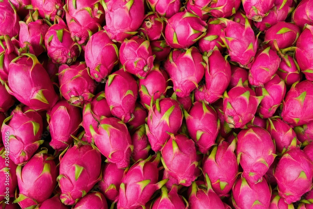 Obraz premium Dragon fruits fresh pink pitaya ripe whole berries stacked together forming texture background from top view for organic exotic food concept design