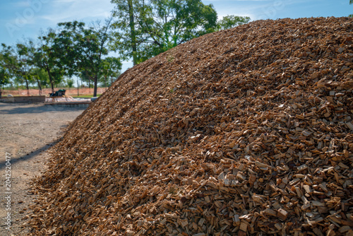 Heap of wood chips used for gardening, ground cover, and decomposition process