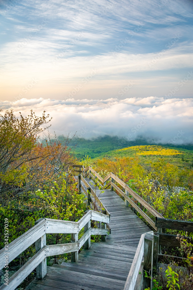 Fototapeta premium Wooden Mountain Stairway Descending Into Clouds