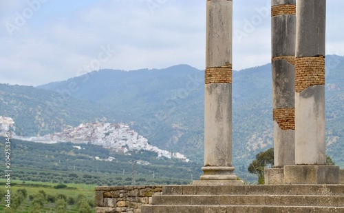 Ruins of ancient Roman city of Volubilis in Morocco