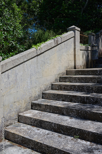 Steps, wall and trees in summer sunshine