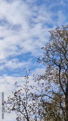 Expansive blue sky with fluffy clouds creating a serene outdoor environment.