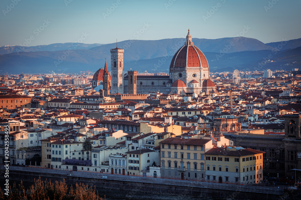 Obraz premium panorama of florence italy