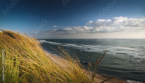 sea coast grass and sky