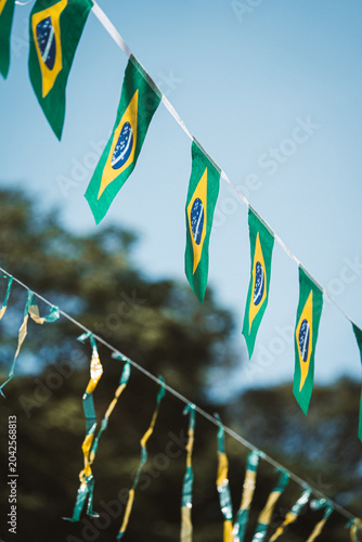 Brazilian Flags Decoration Outdoors