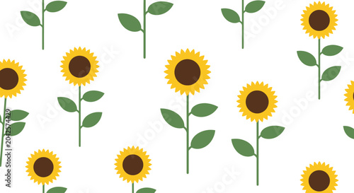 Εκτύπωση καμβά Sunflowers in a white background.