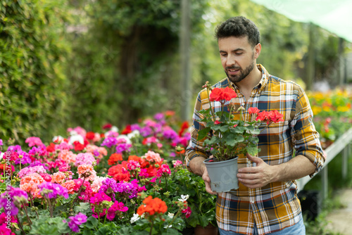 Bild auf Leinwand Adult man choose dimorfoteca of different colors in a garden hypermarket