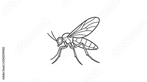 Bild auf Leinwand Small gnat or fungus fly line art illustration.