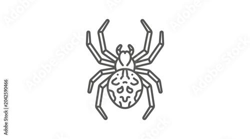 Schilderij op canvas Symmetrical line art illustration of an orb weaver spider.