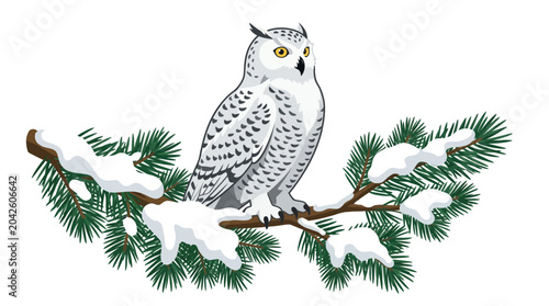 Snowy Owl Perched on a Pine Branch Covered in Snow
