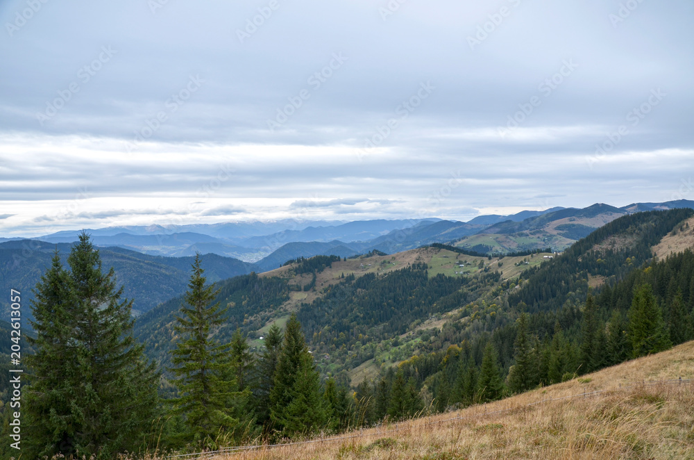Obraz premium Expansive mountain valley framed by dense evergreen forests and rolling hills under a moody cloudy sky. Carpathian Mountains, Ukraine