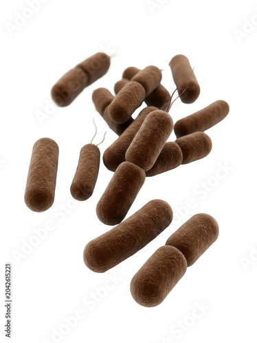 Brown cylindrical objects scattered on a white background