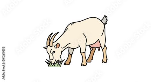 Foto White Goat Eating Green Grass.