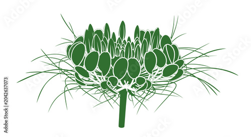 Tableau sur toile Stylized green illustration of a blooming flower head with delicate wispy foliage