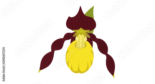 Foto A detailed illustration of a vibrant yellow and maroon lady slipper orchid flower