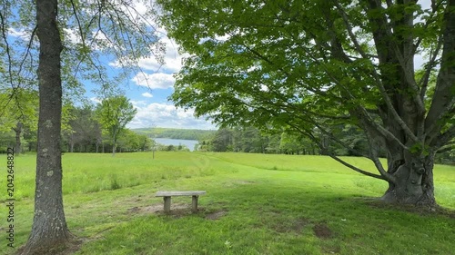 Green Field with Bench and Trees