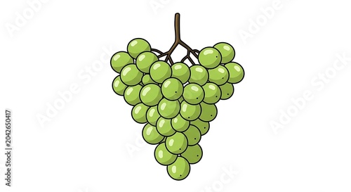 Golden green grape bunch on vine stem.